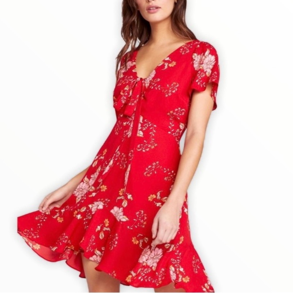 BB Dakota Love Back Atcha Dress Sz 4